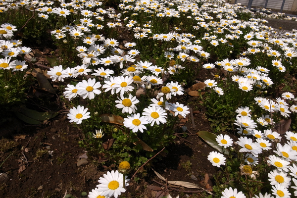 120406 15 RIMG2600.jpg